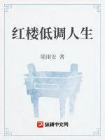 《红楼低调人生》小说封面
