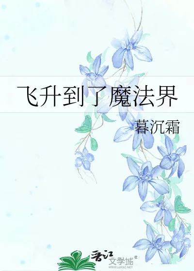 《飞升到了魔法界》小说封面
