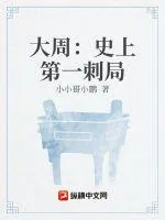 《大周：史上第一刺局》小说封面