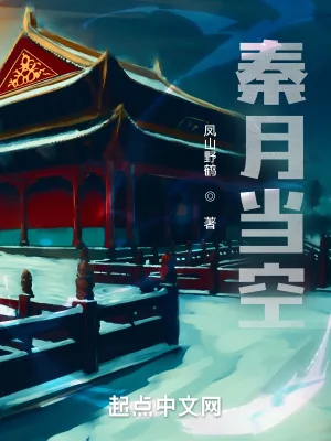 《秦月当空》小说封面