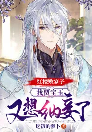 《红楼败家子:我贾宝玉,又想纳妾了》小说封面