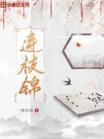 《连枝锦》小说封面