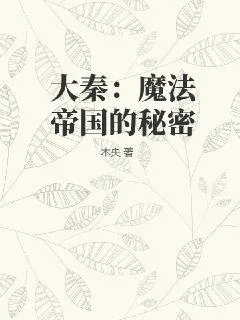 《大秦：魔法帝国的秘密》小说封面