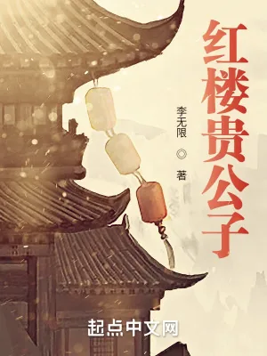 《红楼贵公子》小说封面