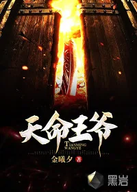 《天命王爷》小说封面