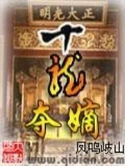 《十龙夺嫡》小说封面