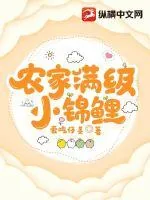 《农家满级小锦鲤》小说封面