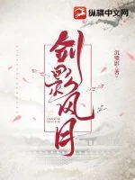 《剑影风月》小说封面