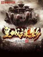 《皇城谍影》小说封面