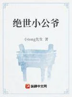 《绝世小公爷》小说封面