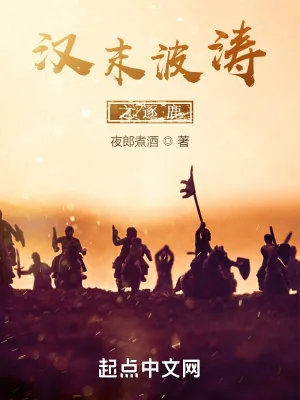 《汉末波涛之逐鹿》小说封面