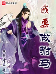 《我要做驸马》小说封面