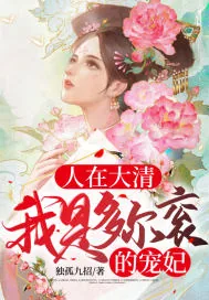 《大清倾城皇后》小说封面