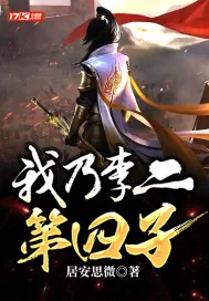 《我乃李二第四子》小说封面