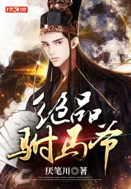 《绝品驸马爷》小说封面