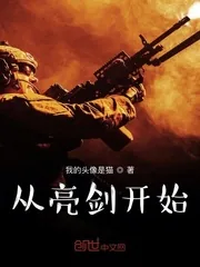 《从亮剑开始崛起》小说封面