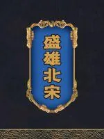 《宋雄》小说封面