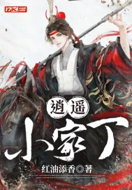 《逍遥小家丁》小说封面