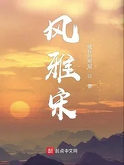 《风雅宋》小说封面