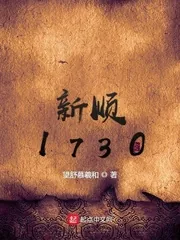 《新顺1730》小说封面