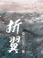 《折断之翼》小说封面
