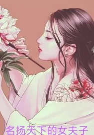 《名扬天下的女夫子》小说封面