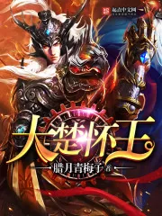 《大楚怀王》小说封面