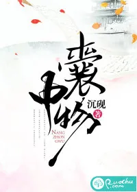 《囊中物》小说封面