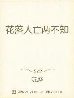 《花落人亡两不知》小说封面