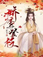 《娇鸾登枝》小说封面