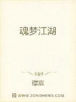 《魂梦江湖》小说封面