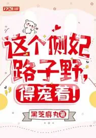 《这个侧妃路子野,得宠着!》小说封面