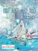 《雪域朝歌》小说封面