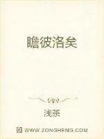 《瞻彼洛矣》小说封面