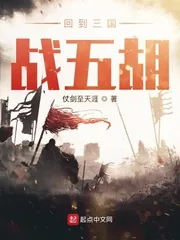 《回到三国战五胡》小说封面