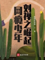 《网瘾少年刘禅之崛起》小说封面