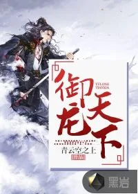 《御龙天下》小说封面