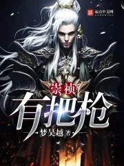 《崇祯有把枪》小说封面
