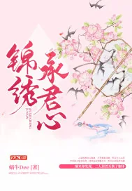 《锦绣承君心》小说封面