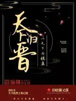 《天下归晋》小说封面