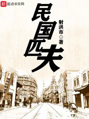 《民国匹夫》小说封面