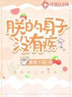 《朕的身子没有疾》小说封面