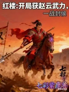 《红楼:开局获赵云武力,一战封侯》小说封面