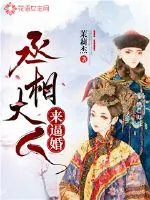 《丞相大人来逼婚》小说封面