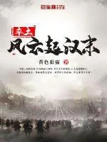 《率土风云起汉末》小说封面