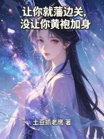 《让你就藩边关，没让你黄袍加身》小说封面