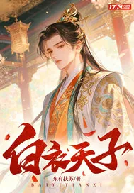 《白衣天子》小说封面