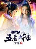 《混迹在五岳大陆》小说封面