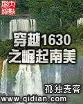 《穿越1630之崛起南美》小说封面