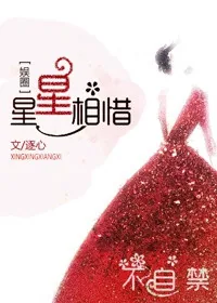 《星星相惜》小说封面